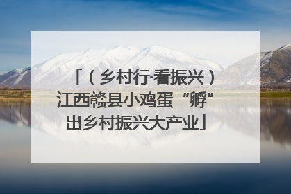 （乡村行·看振兴）江西赣县小鸡蛋“孵”出乡村振兴大产业