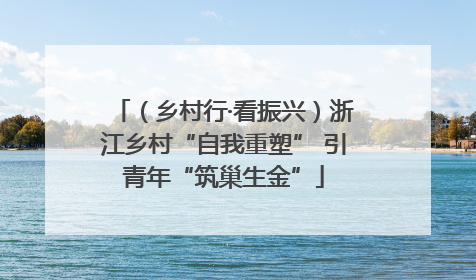 （乡村行·看振兴）浙江乡村“自我重塑” 引青年“筑巢生金”