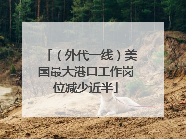 （外代一线）美国最大港口工作岗位减少近半