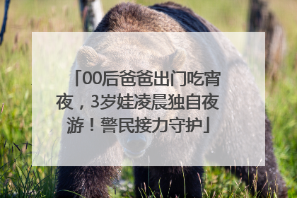 00后爸爸出门吃宵夜，3岁娃凌晨独自夜游！警民接力守护