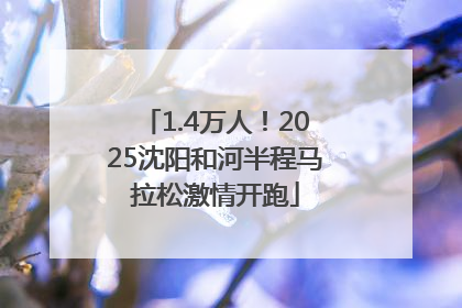 1.4万人！2025沈阳和河半程马拉松激情开跑