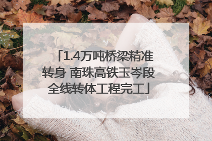 1.4万吨桥梁精准转身 南珠高铁玉岑段全线转体工程完工