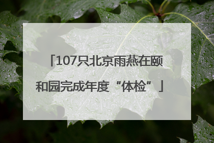 107只北京雨燕在颐和园完成年度“体检”