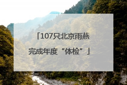 107只北京雨燕完成年度“体检”