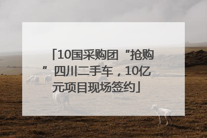 10国采购团“抢购”四川二手车，10亿元项目现场签约
