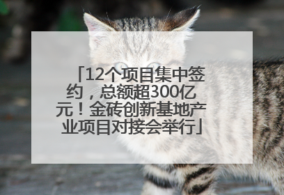 12个项目集中签约，总额超300亿元！金砖创新基地产业项目对接会举行