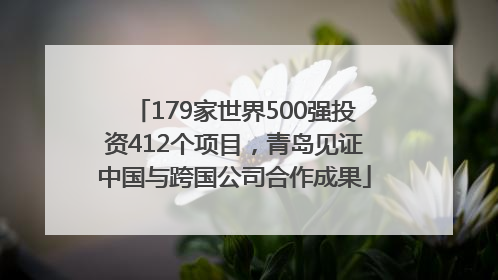 179家世界500强投资412个项目，青岛见证中国与跨国公司合作成果