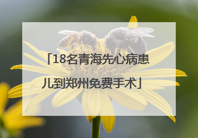 18名青海先心病患儿到郑州免费手术