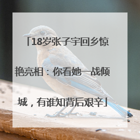 18岁张子宇回乡惊艳亮相：你看她一战倾城，有谁知背后艰辛