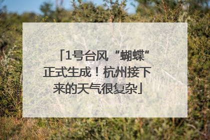 1号台风“蝴蝶”正式生成！杭州接下来的天气很复杂