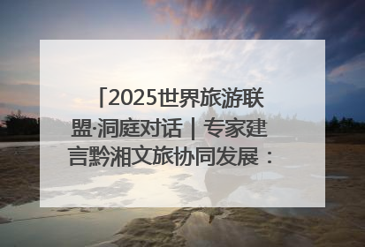 2025世界旅游联盟·洞庭对话｜专家建言黔湘文旅协同发展：聚焦产品稀缺性 深化区域经验共享