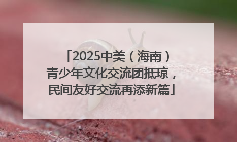2025中美（海南）青少年文化交流团抵琼，民间友好交流再添新篇