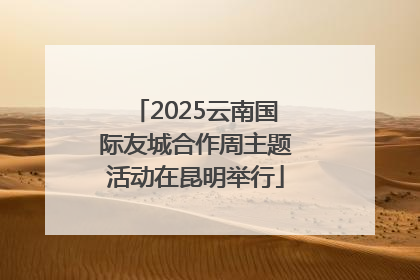 2025云南国际友城合作周主题活动在昆明举行