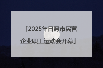 2025年日照市民营企业职工运动会开幕