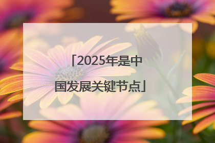 2025年是中国发展关键节点