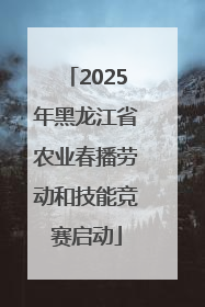 2025年黑龙江省农业春播劳动和技能竞赛启动
