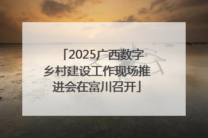 2025广西数字乡村建设工作现场推进会在富川召开