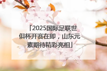 2025国际足联世俱杯开赛在即，山东元素期待精彩亮相