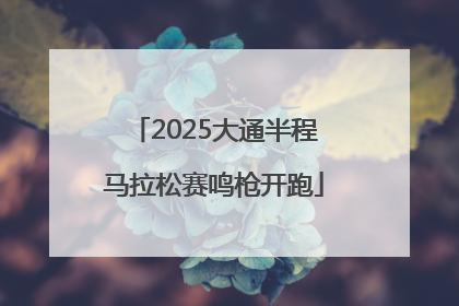 2025大通半程马拉松赛鸣枪开跑