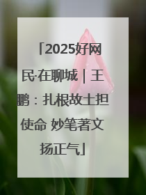 2025好网民·在聊城｜王鹏：扎根故土担使命 妙笔著文扬正气