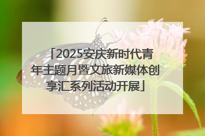 2025安庆新时代青年主题月暨文旅新媒体创享汇系列活动开展