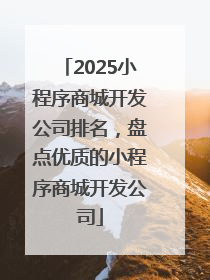 2025小程序商城开发公司排名，盘点优质的小程序商城开发公司