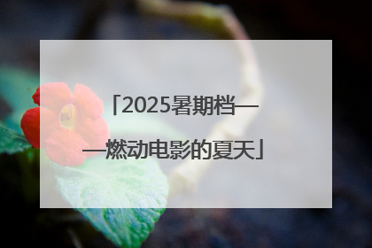 2025暑期档——燃动电影的夏天