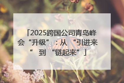 2025跨国公司青岛峰会“升级”：从 “引进来” 到 “链起来”
