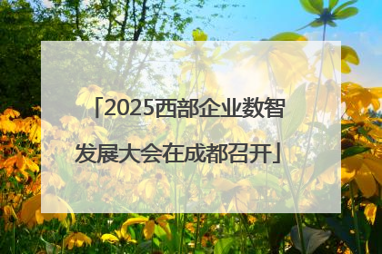 2025西部企业数智发展大会在成都召开