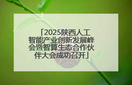 2025陕西人工智能产业创新发展峰会暨智算生态合作伙伴大会成功召开