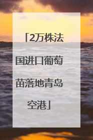 2万株法国进口葡萄苗落地青岛空港
