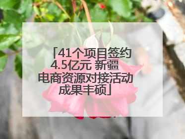41个项目签约4.5亿元 新疆电商资源对接活动成果丰硕