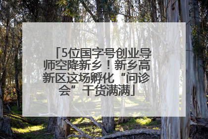 5位国字号创业导师空降新乡！新乡高新区这场孵化“问诊会”干货满满