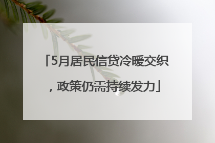 5月居民信贷冷暖交织，政策仍需持续发力