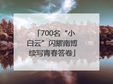 700名“小白云”闪耀南博续写青春答卷