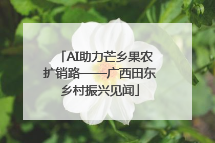 AI助力芒乡果农扩销路——广西田东乡村振兴见闻