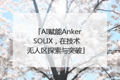 AI赋能Anker SOLIX，在技术无人区探索与突破