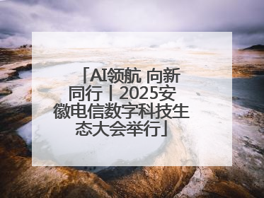 AI领航 向新同行丨2025安徽电信数字科技生态大会举行
