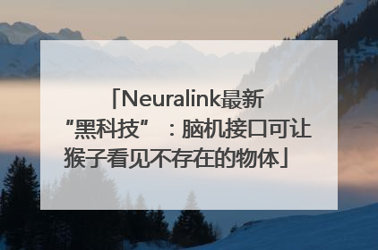 Neuralink最新“黑科技”：脑机接口可让猴子看见不存在的物体