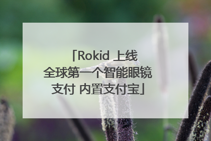 Rokid 上线全球第一个智能眼镜支付 内置支付宝